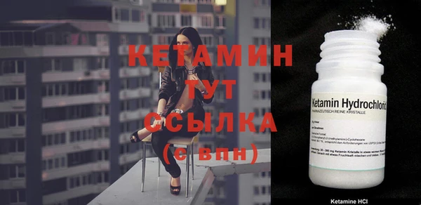 ешки Гатчина