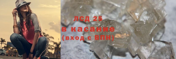 прущие грибы Алексин