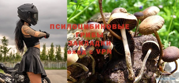 наркотики Алексеевка